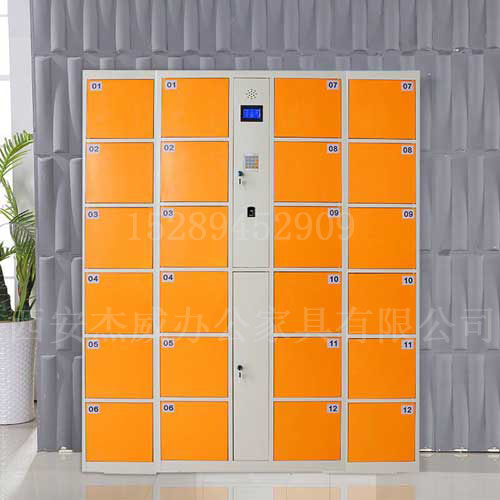 西安電子存包櫃